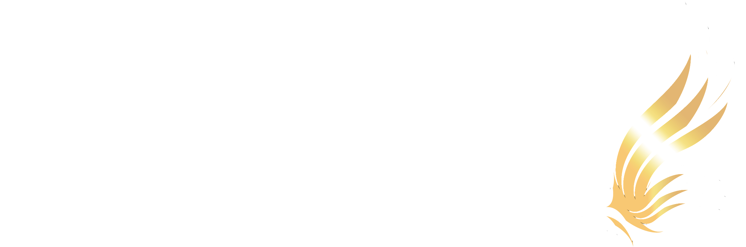 Gulf Falcon Company